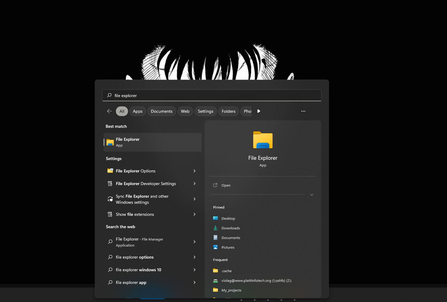 file explorer